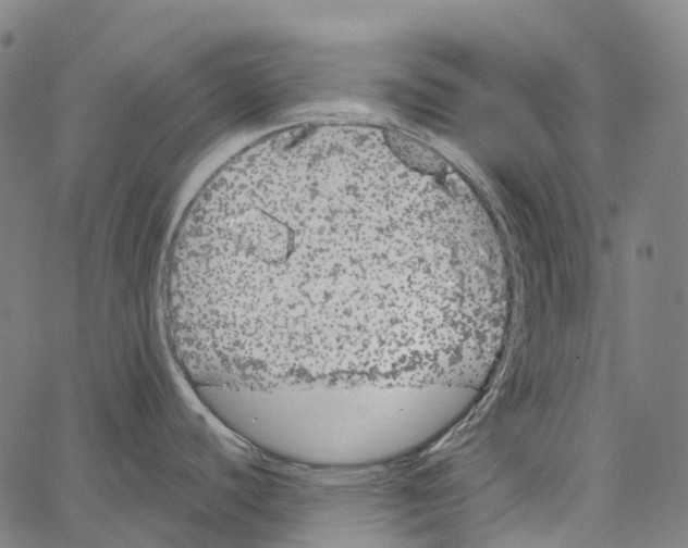 X0000062141440200601060912