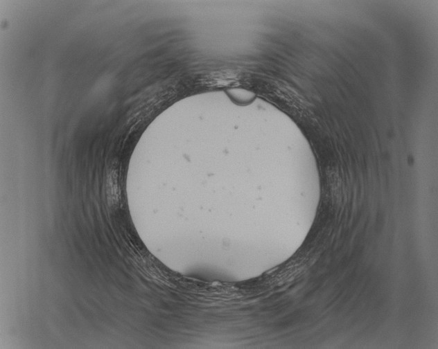 X0000062141442200601060911