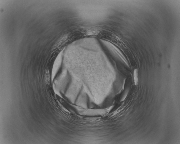 X0000062141443200601060911