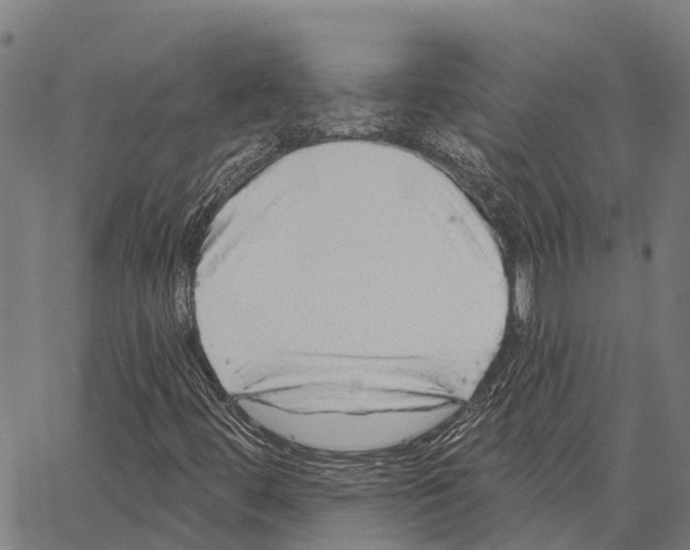 X0000062141444200601060911