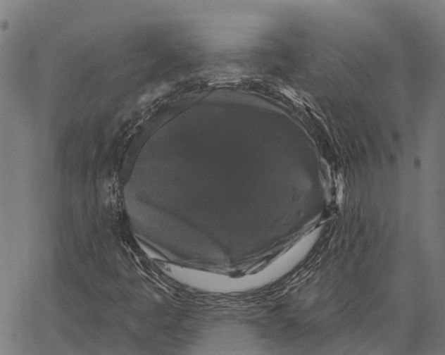 X0000062141445200601060911