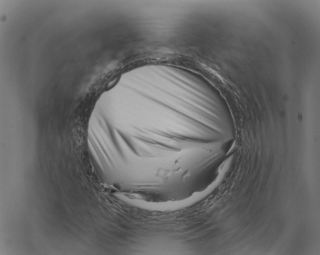 X0000062141447200601060911