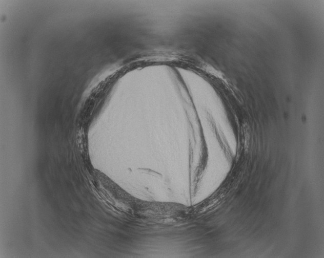 X0000062141448200601060911