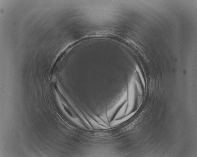 X0000062141449200601060911