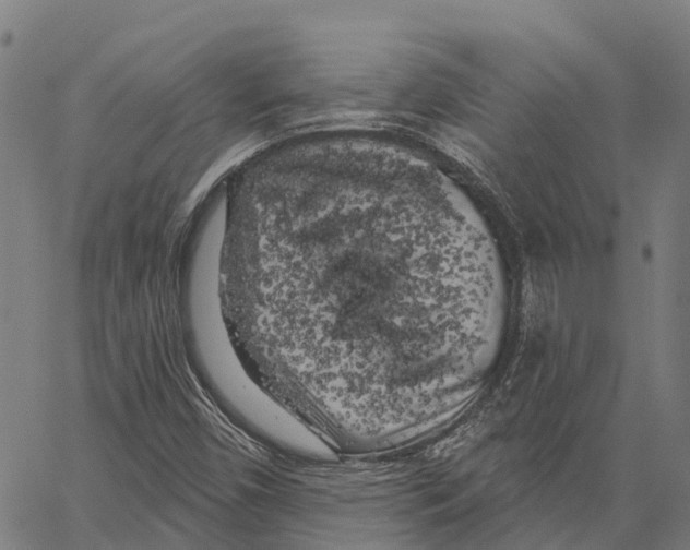 X0000062141450200601060911