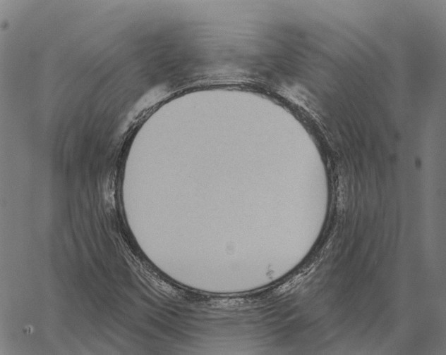 X0000062141451200601060911