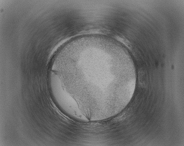 X0000062141452200601060911