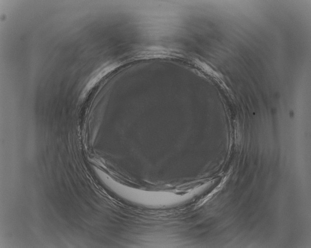 X0000062141453200601060911