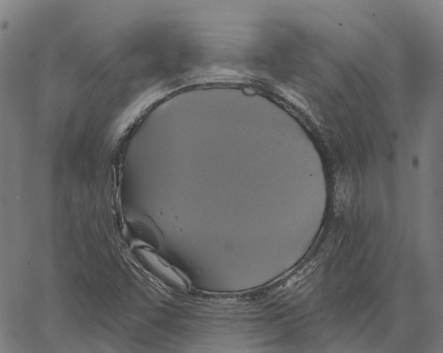 X0000062141455200601060911