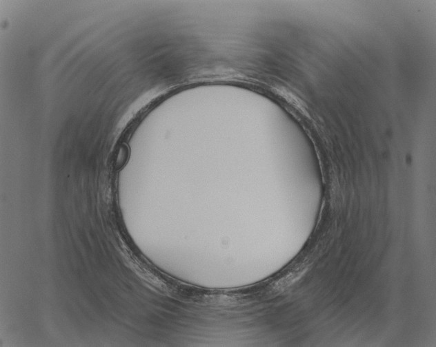 X0000062141458200601060911