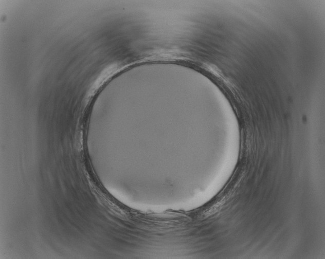 X0000062141459200601060911