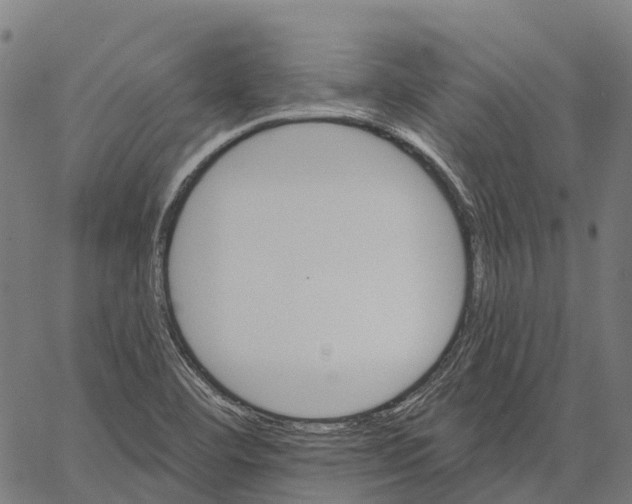 X0000062141460200601060911