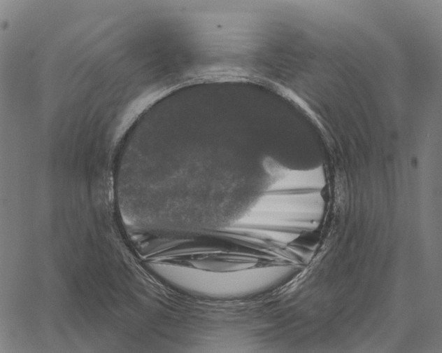 X0000062141461200601060911