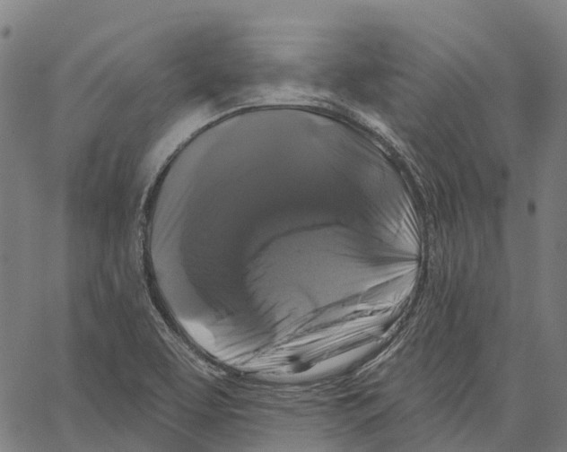 X0000062141463200601060911