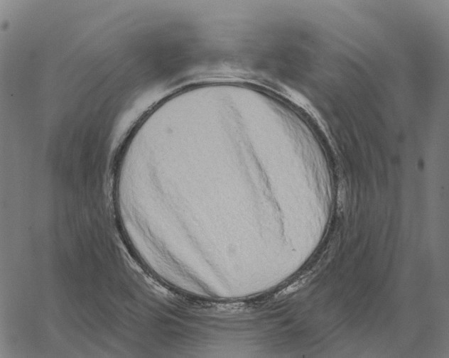 X0000062141464200601060910