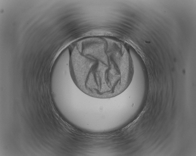 X0000062141465200601060910