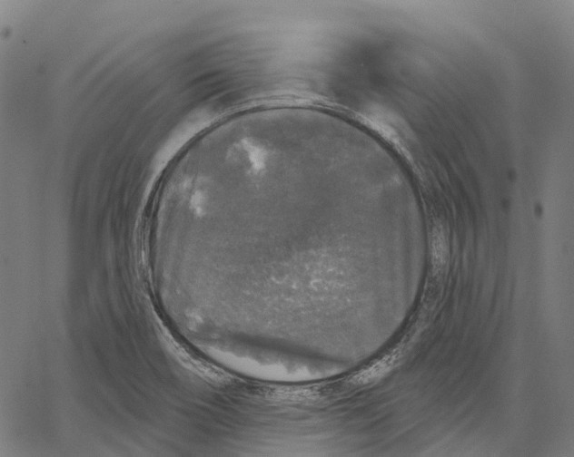 X0000062141466200601060910