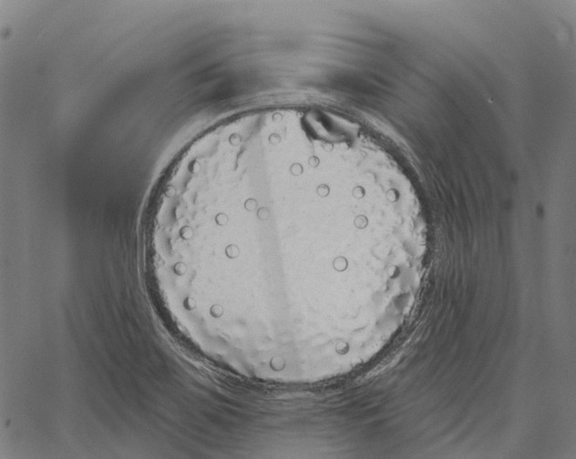 X0000062141467200601060910