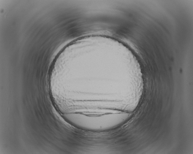 X0000062141468200601060910