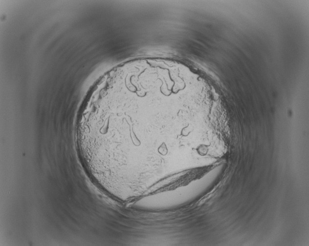 X0000062141471200601060910