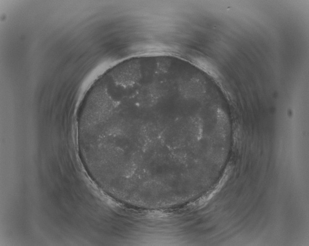 X0000062141472200601060910