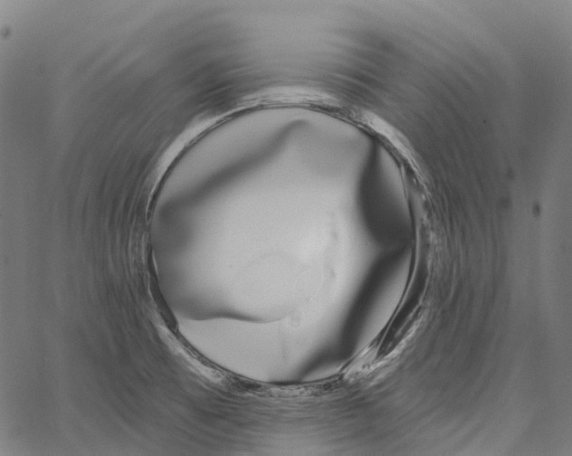 X0000062141473200601060910