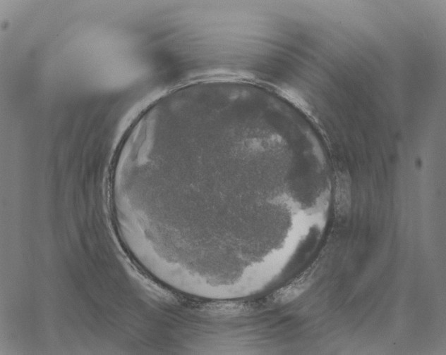 X0000062141474200601060910