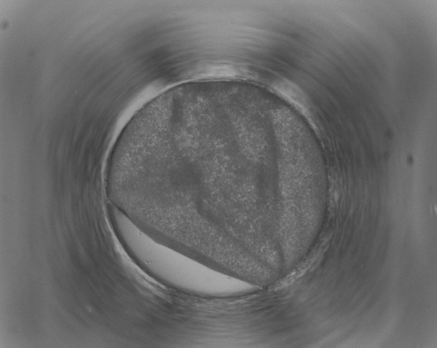 X0000062141475200601060910