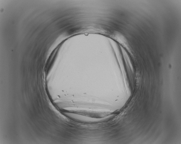 X0000062141476200601060910