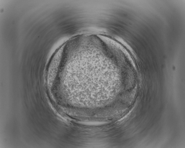 X0000062141477200601060910