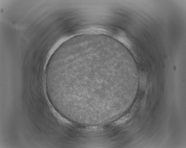 X0000062141478200601060910