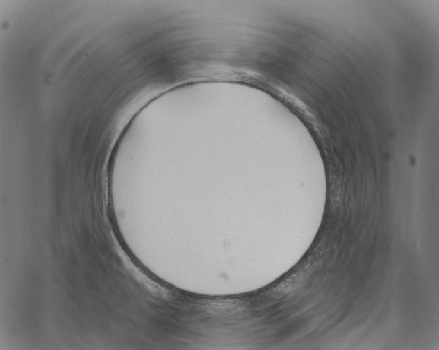 X0000062141479200601060910