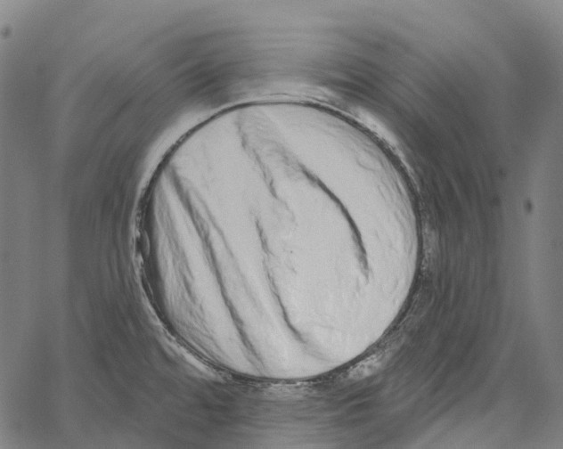 X0000062141480200601060910