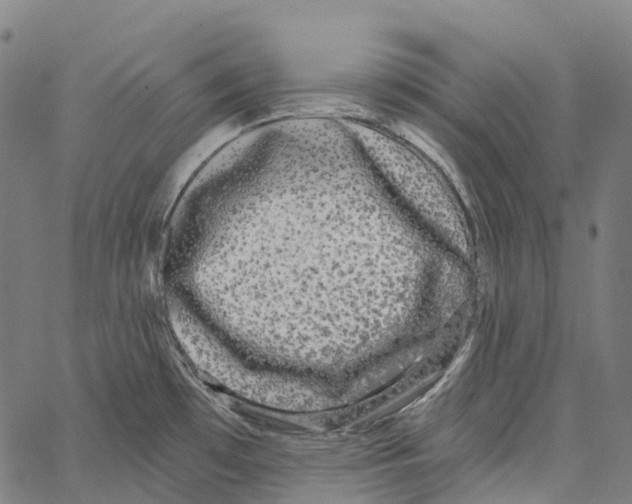 X0000062141481200601060910