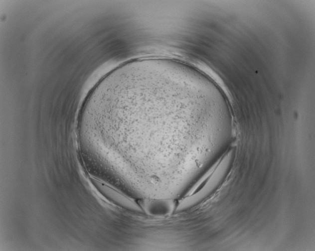 X0000062141485200601060910