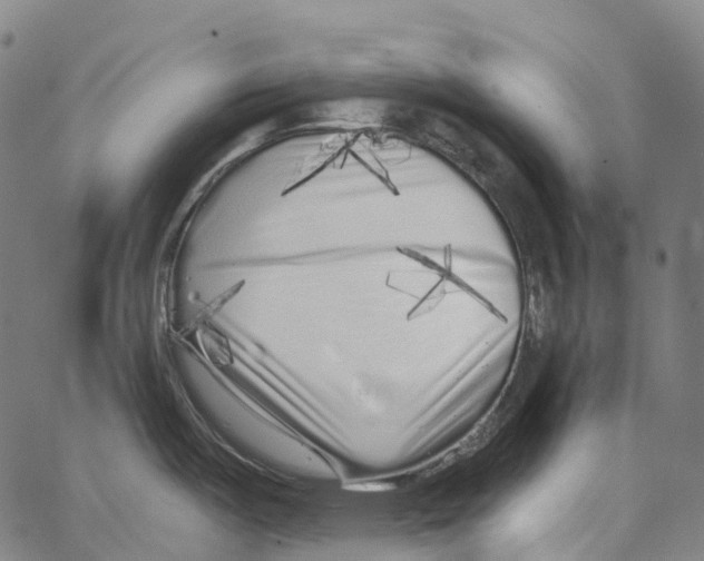 X0000062141487200601060910