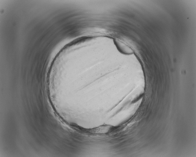 X0000062141488200601060910