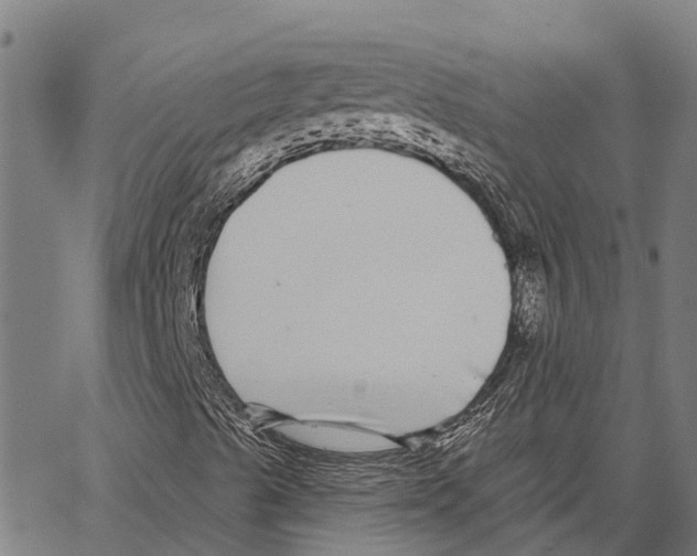 X0000062141489200601060909