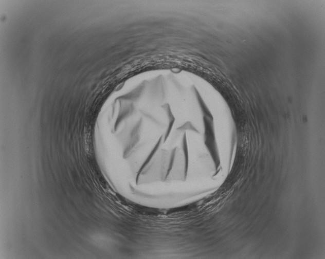 X0000062141490200601060909