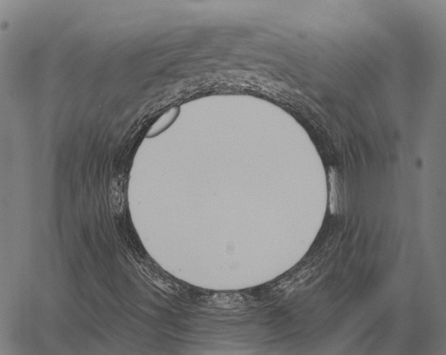 X0000062141491200601060909