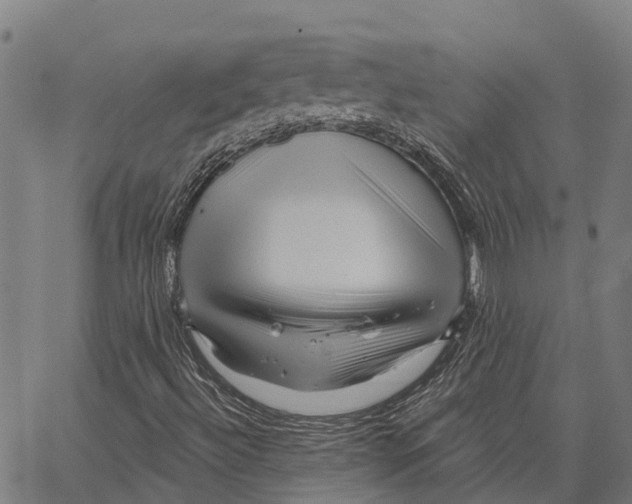 X0000062141492200601060909