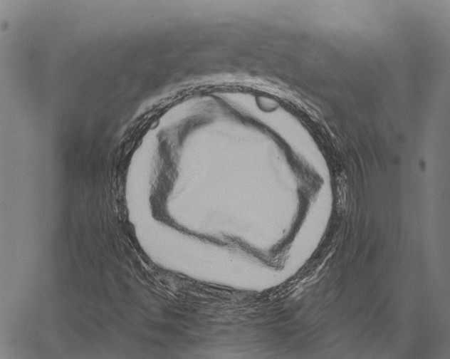 X0000062141494200601060909