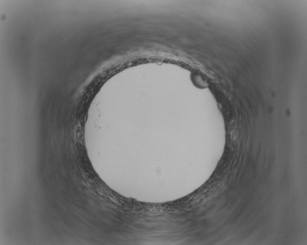 X0000062141495200601060909