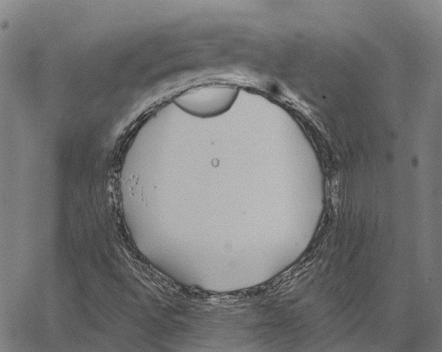 X0000062141496200601060909