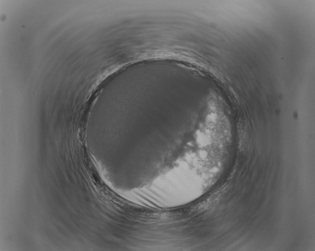 X0000062141497200601060909