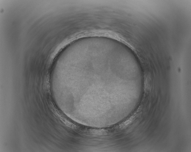 X0000062141498200601060909