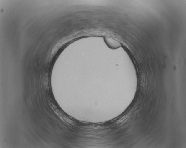 X0000062141499200601060909