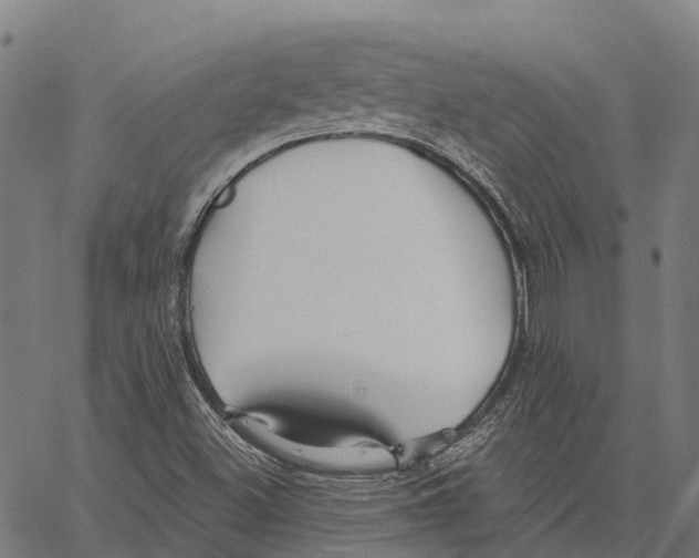 X0000062141500200601060909