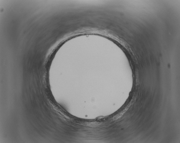 X0000062141502200601060909