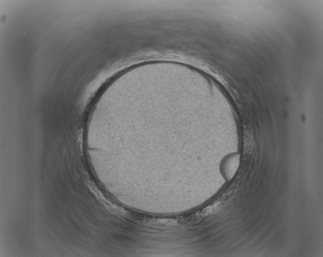 X0000062141503200601060910